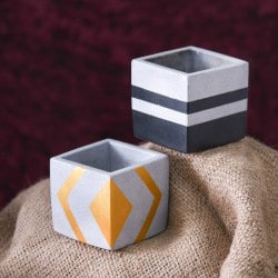 Flat 10% OFF on Concrete Planters Orders