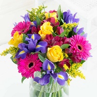 Ferns N Petals: Get up to 12% OFF on Bestselling Flowers