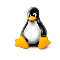 Reseller Club: Get up to 50% OFF on Linux Shared Hosting