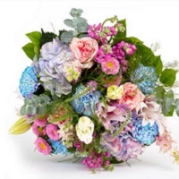 BloomsyBox: Subscription Boxes: Up to 20% OFF
