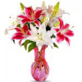Celebrate with Women's Day Flowers Orders