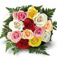 MyFlowerTree: Starting at ₹ 399 off Sameday Flower Delivery Orders