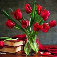 Get Same Day Delivery off Flower Orders Site-Wide