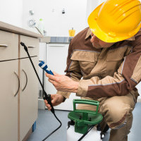 Get Professional Service off Pest Control Bookings Orders