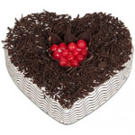 Get Flat 20% off SPECIAL OFFERS Orders