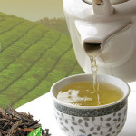 Upto 20% OFF on Fresh Organic TEA Orders
