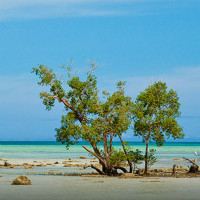 Yatra: From ₹ 12,250 on Andaman & Nicobar Islands Bookings