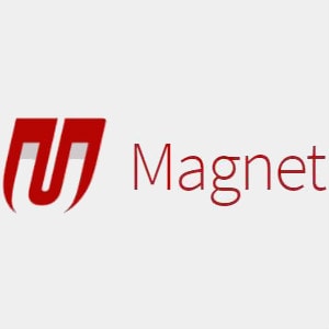 Magnet India