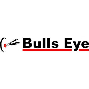 Hit Bulls Eye