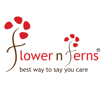 Flower N Ferns