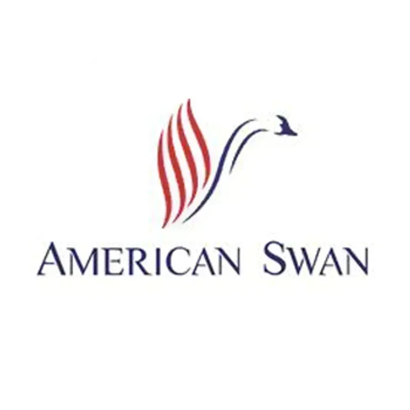 American Swan